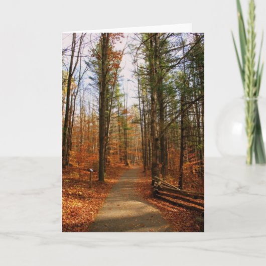 秋のHartwickのマツ州立公園 カード (正面)