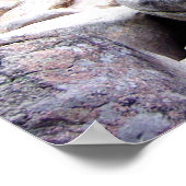 秋のKancamagus Highway ポスター (角)