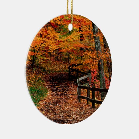 秋のMccormickの入り江の州立公園インディアナ セラミックオーナメント (右)