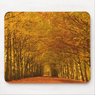 秋のmousepadの森林を通した歩く道 マウスパッド