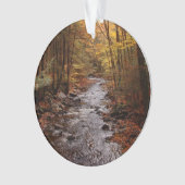 秋のPoconoの流れ オーナメント (正面)