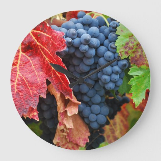 秋のSonoma ラージ壁時計 (正面)