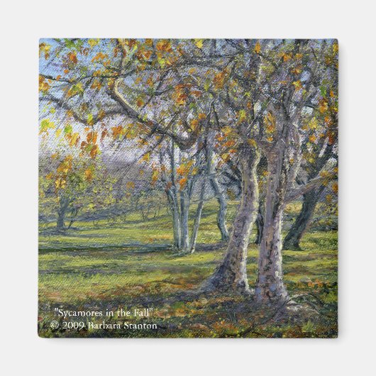 秋のSycamores マグネット (正面)