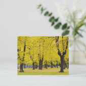 秋はがき ポストカード (スタンド正面)