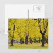 秋はがき ポストカード (正面/裏面)