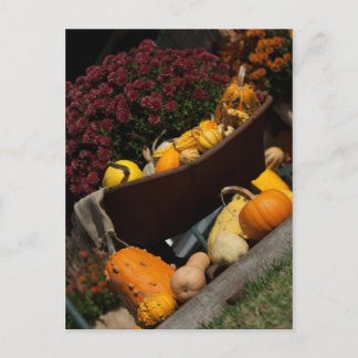 秋はがき ポストカード