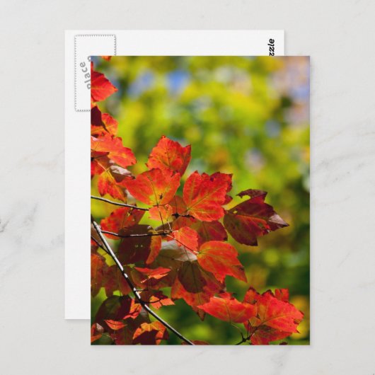 秋はがき ポストカード (正面/裏面)