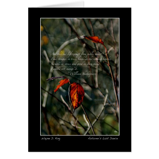 秋はシェイクスピアに踊る (正面)