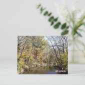 秋はテネシー州キャリービル ポストカード (スタンド正面)