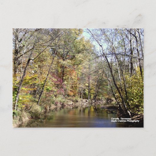 秋はテネシー州キャリービル ポストカード (正面)