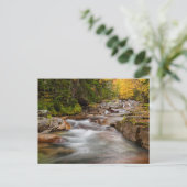 秋はニューハンプシャー州ジェファーソンブルック ポストカード (スタンド正面)