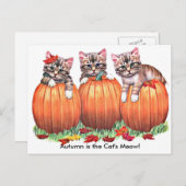 秋は猫のニャーはがき ポストカード (正面/裏面)