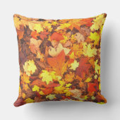秋は私のお気に入りの色彩楽章 クッション (裏面)