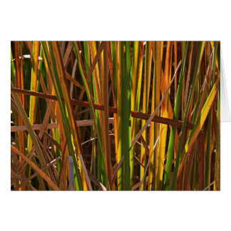 秋は第1を葦でふきます