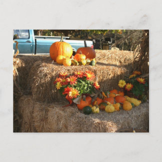 秋はCT、エリントン。 ポストカード