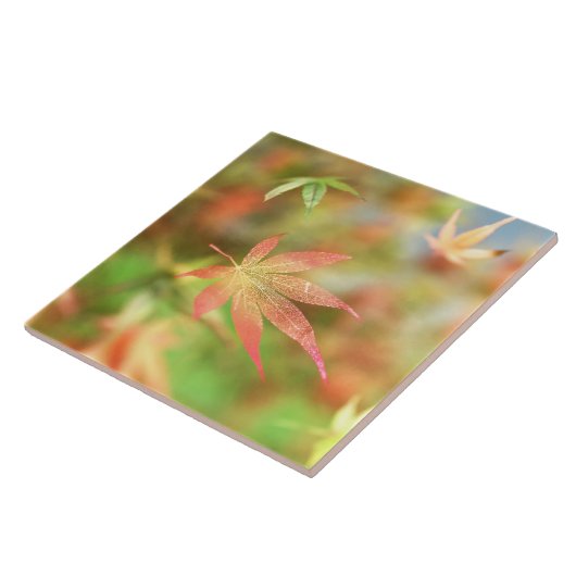 秋ふり瓦/五徳 タイル (側面)