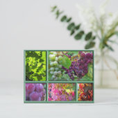 秋ぶどう収穫コラージュ ポストカード (スタンド正面)