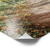 秋への道 フォトプリント            (角)