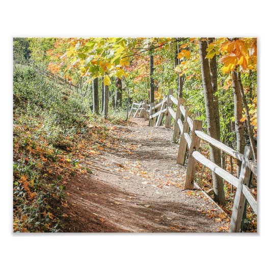 秋への道 フォトプリント            (正面)