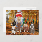 秋または感謝祭のためのおもしろいな猫または犬のインディアン シーズンポストカード (正面/裏面)