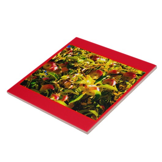 秋りんごタイル タイル (側面)