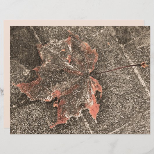 秋をテーマにしたメープルリーフヴィンテージセピア秋 (正面/裏面)