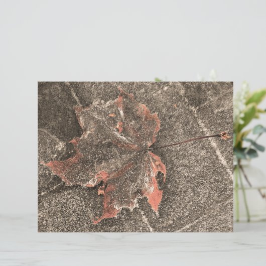 秋をテーマにしたメープルリーフヴィンテージセピア秋 (スタンド正面)