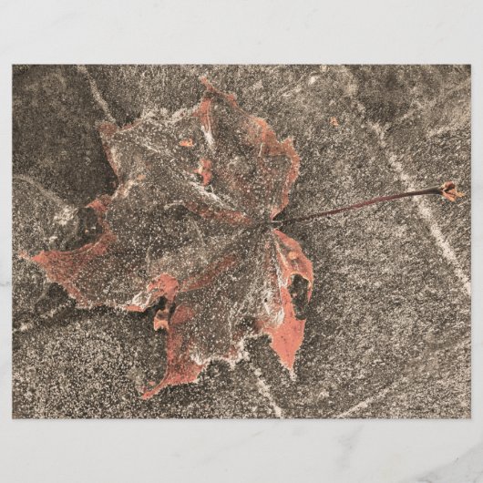 秋をテーマにしたメープルリーフヴィンテージセピア秋 (正面)