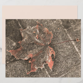 秋をテーマにしたメープルリーフヴィンテージセピア秋