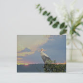 秋を待つ ポストカード (スタンド正面)