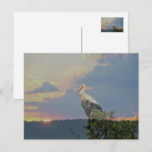 秋を待つ ポストカード (正面/裏面)