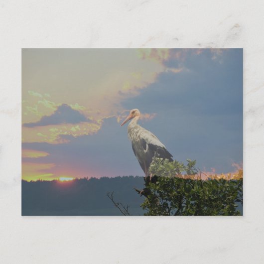 秋を待つ ポストカード (正面)