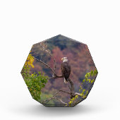 秋を眺める フォトブロック (正面)