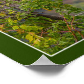 秋を眺める ポスター (角)