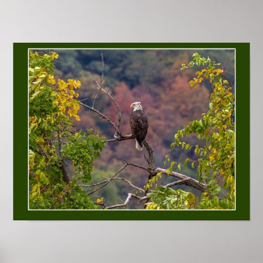 秋を眺める ポスター (正面)