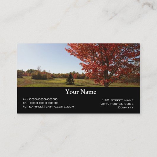 秋アカエデの木の風景 名刺 (裏面)