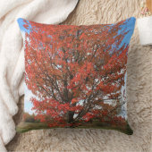 秋アカエデの青空 クッション (ブランケット)