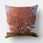 秋アカエデの青空 クッション (裏面)