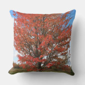 秋アカエデの青空 クッション (正面)