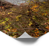 秋アットハビランドコーブビーチポスター ポスター (角)