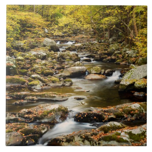 秋アットビッグクリーク タイル (正面)