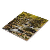 秋アットビッグクリーク タイル (側面)