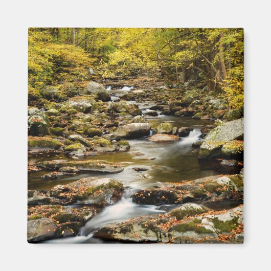 秋アットビッグクリーク マグネット (正面)