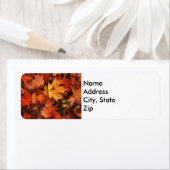 秋アドレスの戻りラベル ラベル (インサイチュ)