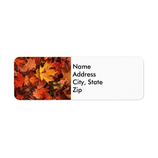 秋アドレスの戻りラベル ラベル (正面)