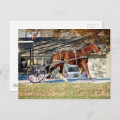 秋アミッシュホース ポストカード (正面/裏面)