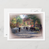 秋アルパカはがき ポストカード (正面/裏面)