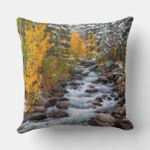 秋アロングビショップクリーク(カリフォルニア) クッション (裏面)