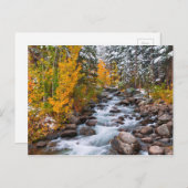 秋アロングビショップクリーク(カリフォルニア) ポストカード (正面/裏面)