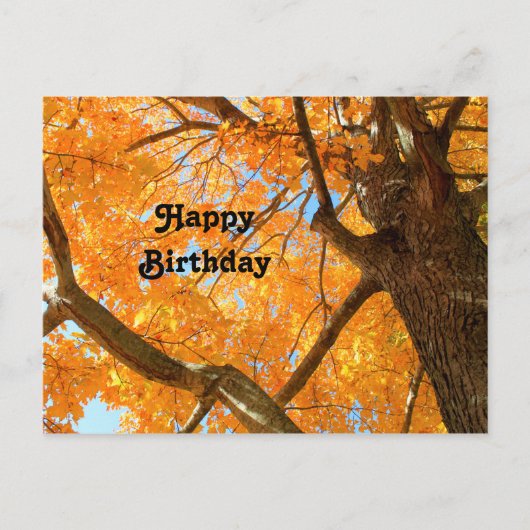秋イエローメープルツリーフォト誕生日 ポストカード (正面)